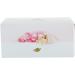 Dove Milk Swirls Bath Bombs  Rosewater & White Chocolate  2 CT  2.8 Oz Ea 2 CT - Buy Online on GoSupps.com