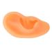 Simulated Ear Mould Lifelike Fake Ear Model Flexible Professional Educational for Hospital(Left)