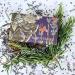 Royal Botanical Gardens Kew Lavender & Rosemary Shea Butter Soap 240g - Soothing & Nourishing Blend - Buy Online on GoSupps.com