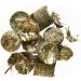 Agrobs Testudo Original 500g Can | Premium Single Feed for Land Turtles | Ideal Transition Food for Winter Rigor - Buy Online on GoSupps.com