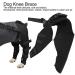 Cikonielf Dog Rear Leg Joint Brace(L) - Buy Online on GoSupps.com