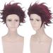 Buy Kamado Tanjirou Wig | Demon Slayer Kimetsu no Yaiba | Dark Red Heat Resistant Synthetic Hair - 30cm - Buy Online on GoSupps.com