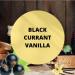 Black Canyon Black Currant Vanilla Scented Body Spray with Jojoba Oil 1 Gal (2 Pack) - Buy Online on GoSupps.com