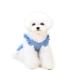 Barrageon dogs Kneid Sweet Princess Rock Clothing Puppy cat for little pet medium-sized summer clothing Bowknot Dog cat (light blue-l) Back length: 30 cm light blue