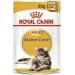 Royal Canin Maine Coon Adult Cat Food 85g x 24 - Buy Online on GoSupps.com