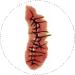 Chucky Costume Fake Blood Zombie Scars Tattoos Bloody Scar with Fake Blood Costume Makeup Halloween Decorations Party Favor - Buy Online on GoSupps.com