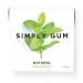 Simply Gum Natural Chewing Gum (Spearmint, 1 Pack) Spearmint 15 Count (Pack of 1)