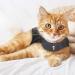 Thundershirt for Cats Large - Buy Online on GoSupps.com