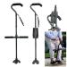 Swan Neck Walking Cane Offset Walking Sticks Double Handle to Help Get up Height Adjustable Collapsible Crutch Mobility Aid for Elderly Men and Women