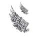 SanerLian Dream Catcher Temporary Tattoo Sticker Set of 12 (SF134) | Feather Wings Design | Waterproof | Shoulder Back Arm Hand | Men Women Adult | 10.5X6cm - Buy Online on GoSupps.com