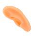 Professional Right Ear Display Mould for Hearing Aid Earrings - Silicone Simulation Model - Buy Online on GoSupps.com
