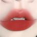  BADALO Velvet Mist Water Mist Lip Mud Soft Silky Matte Vegan White Lip Gloss Non-stick Lip Glaze Lipstick (Color : 196 Cinnabar Orange) - Buy Online on GoSupps.com