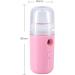 QPOLLY Mini Nano Pulv risateur Facial 30ML Vapeur Visage Vaporisateur Vaporisateur Portable Pulv risateur Brume pour Beaut Visage Humidificateur Soins de Peau Eau SPA Hydratant 1PCS Rose - Buy Online on GoSupps.com