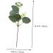 Zerodeko 12pcs Simulated Eucalyptus Leaves Party Decors Real Touch Green Leaf Home Decor Home Plant Decors Vase Floral Arrangement Greenery Decor Faux Plastic Fake Plant Wedding - Buy Online on GoSupps.com