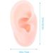 iplusmile Soft Silicone Human Ear Model - Right Ear for Hearing Aids, Earrings & Education - Flesh Color - Buy Online on GoSupps.com