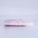 BriFit Cat Dishes with 150cm Leash - High Quality Breakfast Set for Cats & Small Dogs (Pink XS) - Perfect for Pets 6.61-1lb - Buy Online on GoSupps.com