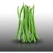 75 g Seeds to sow Le Grenier dAbondance Braimar bean Phaseolus vulgaris - Buy Online on GoSupps.com