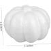 TOPBATHY 10 Pcs Fall Decorations Simulation Pumpkin Prop Mini Pumpkins for Decorating Artificial Harvest Decoration Pumpkins Decoration Pumpkin Ornaments Pumpkin Decor White Fruit Foam Ball Whitex2pcs 8.8*8.5*5cmx2pcs - Buy Online on GoSupps.com