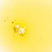Ogee Vitamin C THDA 20% Elixir - Brightening Serum for Glowing Skin - Buy Online on GoSupps.com
