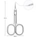YHTSPORT 8Pcs Ceramic Nail Drill Bits - Nail Removal for Acrylic & Gel Nails - Cuticle Scissors & Curved Nail Bits for Electric Nail Files - Buy Online on GoSupps.com