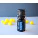 doTERRA Blue Tansy Essential Oil - 5 mL - Buy Online on GoSupps.com