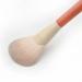 12 Piece Wood Handle Makeup Brush Set - Perfect for Concealer Eye Shadow Blush & Powder | International Shipping Available - Buy Online on GoSupps.com