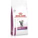 Royal Canin Veterinary Renal Special Feline | 3 Pack | 3 x 400g | Complete Diet Feed for Adult Cats | Can Help Support Kidney Functions - Buy Online on GoSupps.com