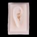 Soft Silicone Right Ear Model for Acupuncture | 1-Piece Educational Study Tool - International Shipping - Buy Online on GoSupps.com