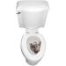 What on Earth Squirrel Toilet Lid Cover Funny Elongated Toilet Seat Decal - Buy Online on GoSupps.com