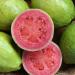 Enhorabuena Dulzura Artisanal Guava Stick Cookies - Made with Real Guava - 6.6 Oz Bag from Puerto Rico - Buy Online on GoSupps.com
