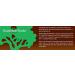 Rainforest Foods Organic Broken Cell Wall Chlorella Tablets 500mg Pack of 300 300 count (Pack of 1) - Buy Online on GoSupps.com