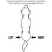 Kruuse Left Rehab Knee Protector for Dogs Left X-Small XS Left - Buy Online on GoSupps.com