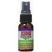 Kong Catnip Spray 1oz - Buy Online on GoSupps.com