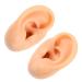 Healifty 2pcs Silicone Ear Models Fake Ear Models Display Products Earring Sample for Study Practice Teaching Tool Props (Assorted Color)