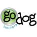 goDog Dinos Squeaker Plush Dog Toy - Chew Resistant & Durable - Large Frills (Gray) - Buy Online on GoSupps.com