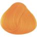 La Riche Directions Apricot Semi-Permanent Hair Color 100ml Tub - Pack of 1 - Buy Online on GoSupps.com