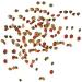 Buy Tetramine Granules - Premium Slowly Sinking Fish Feed for Mid-Water Fish - 10L Bucket - International Shipping Available - Buy Online on GoSupps.com