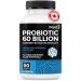 Renew Actives Probiotic Supplement for Digestive Health 60 Billion CFU per 2 Capsules - Advanced Formula with Prebiotic Benefits - Supports Gut Flora Balance & Wellness - Made in Canada - 60 Capsules - Buy Online on GoSupps.com