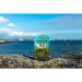 Dorset Tea Wild About Mint Tea Bags - 80 Caffeine-Free Peppermint Tea Bags - Buy Online on GoSupps.com