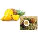 Buy Sauna Infusion Concentrate Pineapple-Coconut - 1L HDPE Bottle with Dropper Cap & Child Safety Lock | Best International Shipping - Buy Online on GoSupps.com