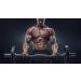 Buy Creatine Tri-Phase - 3X Formula for Muscle Enhancement | Pre & Post Workout Supplement | Monohydrate Powder & Pills - 180 Tabs - Buy Online on GoSupps.com