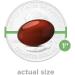 Bausch & Lomb Ocuvite Adult 50+ Eye Vitamin & Mineral - Enhance Eye Health for Adults 50 - Buy Online on GoSupps.com