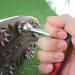 Golf Shoes Spikes Wrench Tool for Easy Replacement and Adjustment - Buy Online on GoSupps.com