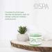 BCL SPA Lemongrass & Green Tea 4-Step Skincare Starter Kit 16oz Each Organic Vegan Spa Set for Hands Feet & Body Hydrates Exfoliates Softens Skin - Buy Online on GoSupps.com