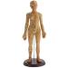 48Cm Model Anatomy Professional Medical Acupuncture Female with Meridian Points Soft Vinyl Material