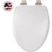 Bemis 19170NSLA 000 Alesio Toilet Seat with Brushed Nickel Hinges will Slow Close  Never Loosen and Provide the Perfect Fit  ELONGATED  High Density Enameled Wood  White 1 Pack Elongated Brushed Nickel Hinge White - Buy Online on GoSupps.com