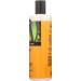 Shikai Yuzu Shower Gel - Refreshing Citrus Foaming Cleanser for All Skin Types | Shop Internationally - Buy Online on GoSupps.com