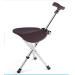 Adjustable Crutches Folding Cane Seat Height Adjustable Non-Slip Duty Portable Fishing Rest Stool withLight for Elder Parents Gift Family Bathing in Sunlight