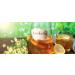 Helden Mazilz Organic Kombucha SCOBY - 100% Natural Plastic-Free Makes 6 Liters - Perfect Gift for Tea Lovers - Buy Online on GoSupps.com