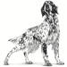 Royal Canin Expert NEUTERED Adult | 12 x 100 g | Wet Food for Dogs | Specially designed for Neutered Dogs | May Help Maintain Weight and Promote Hair Growth - Buy Online on GoSupps.com